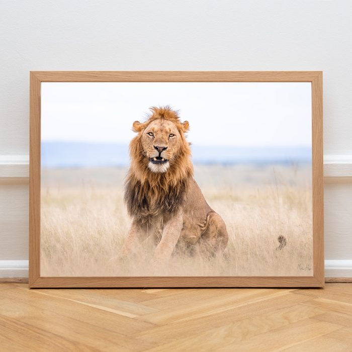Lion print by Mads Hagen